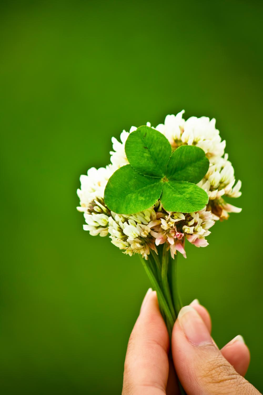 PP_4tubanoprezent-thumb-autox1500-12747