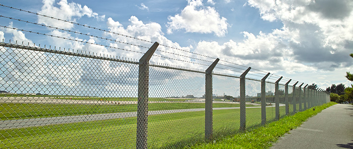 出典:https://www.nippon.com/ja/features/h00008/